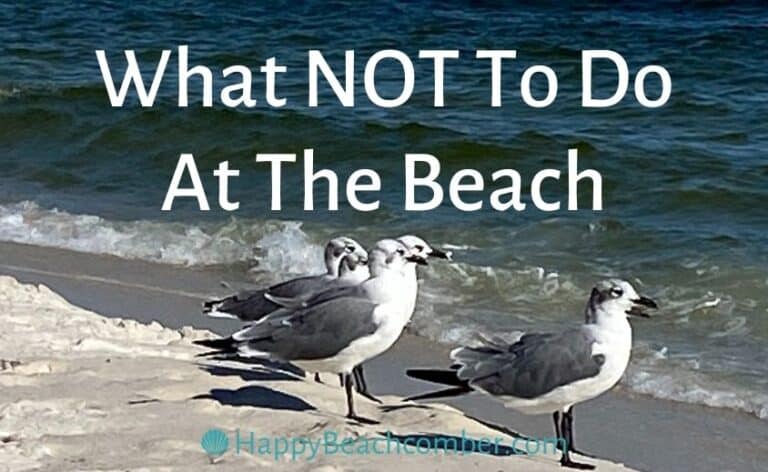 What NOT To Do At The Beach