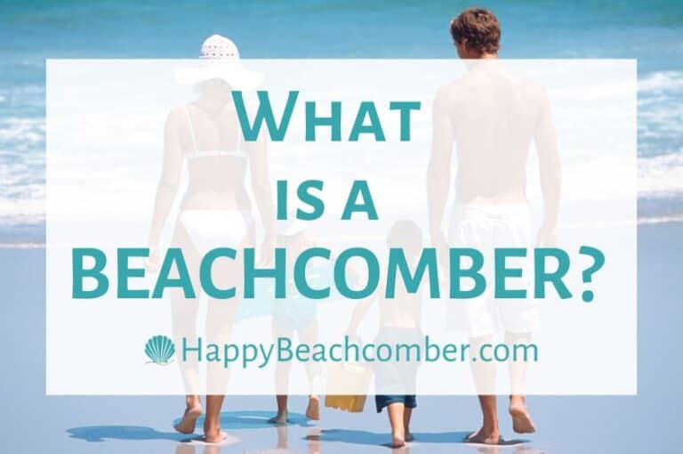What is a Beachcomber?