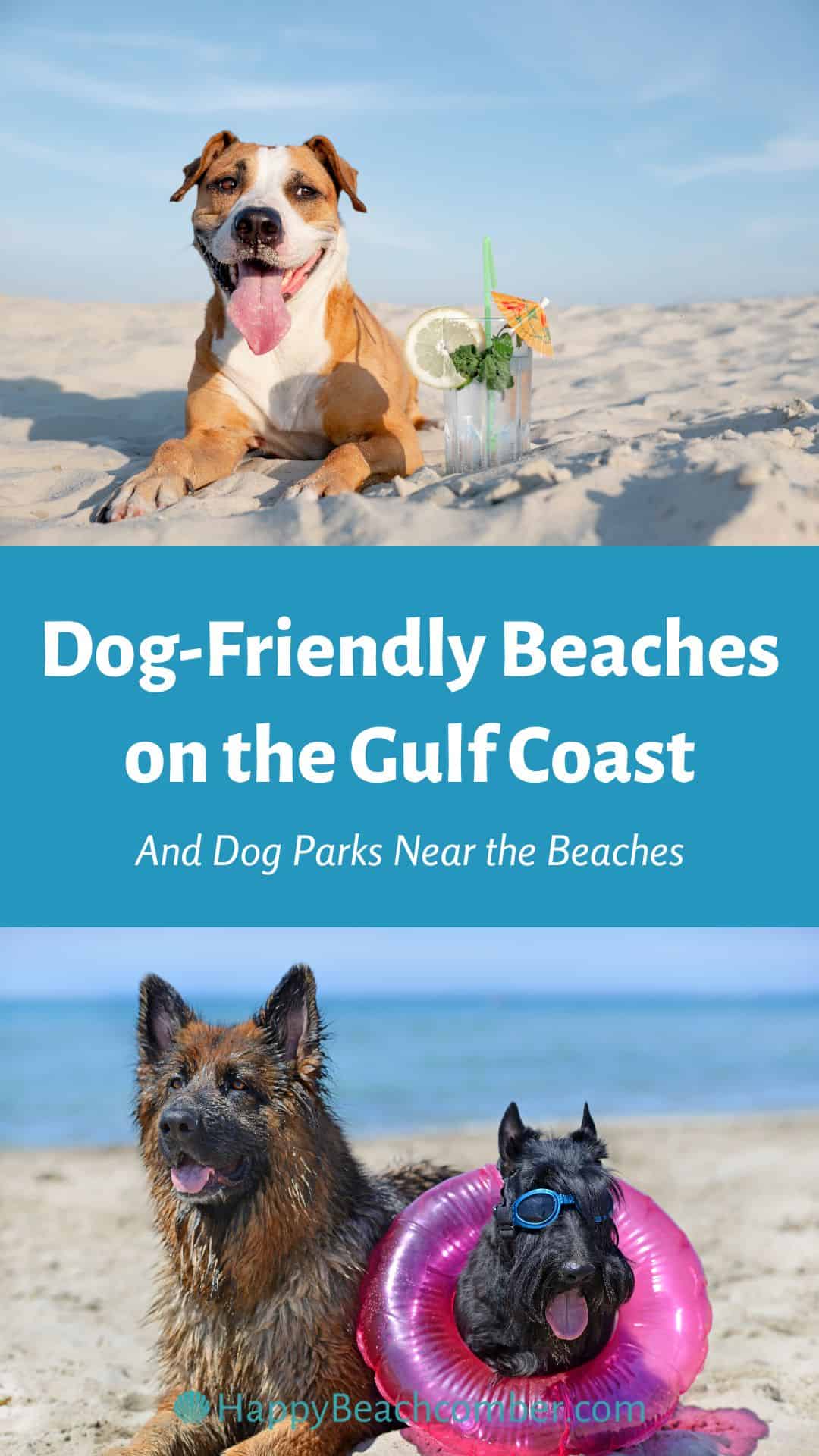 Dog-Friendly Beaches on the Gulf Coast