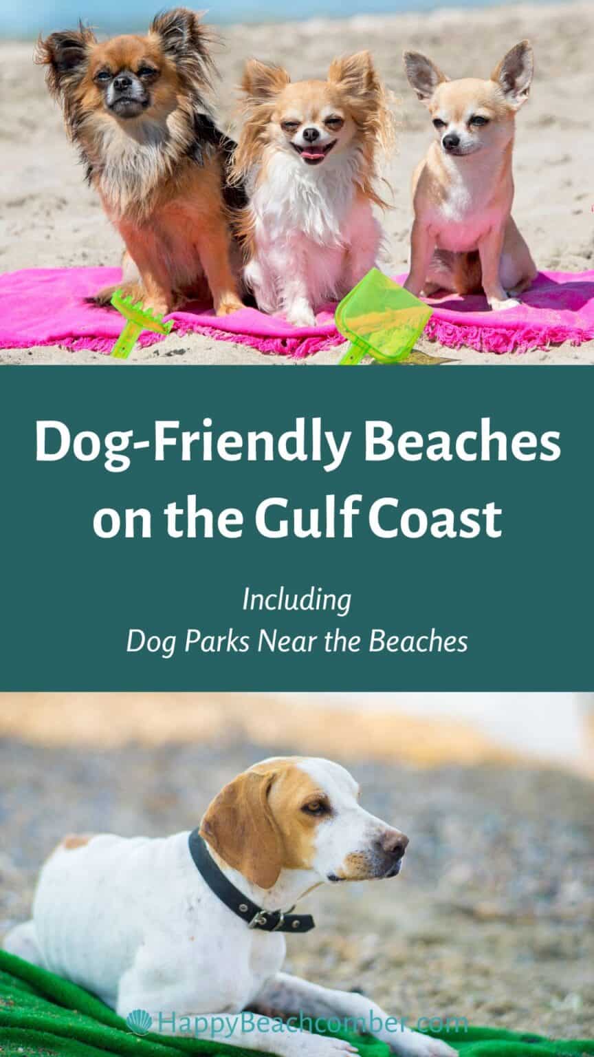 Dog Friendly Beaches on the Gulf Coast [Florida Panhandle and Alabama]