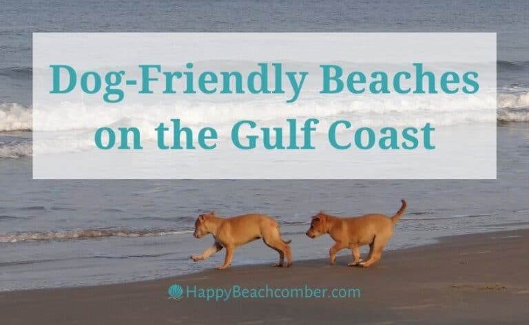 Dog Friendly Beaches on the Gulf Coast [Florida Panhandle & Alabama]