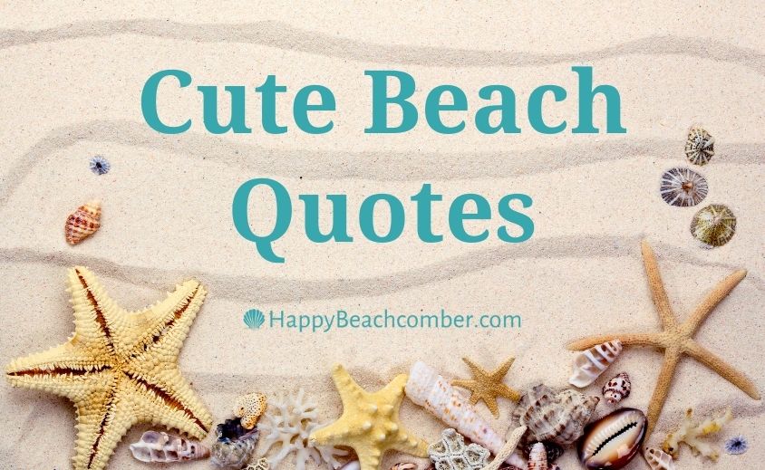 Cute Beach Quotes Fun Sayings About Life At The Beach