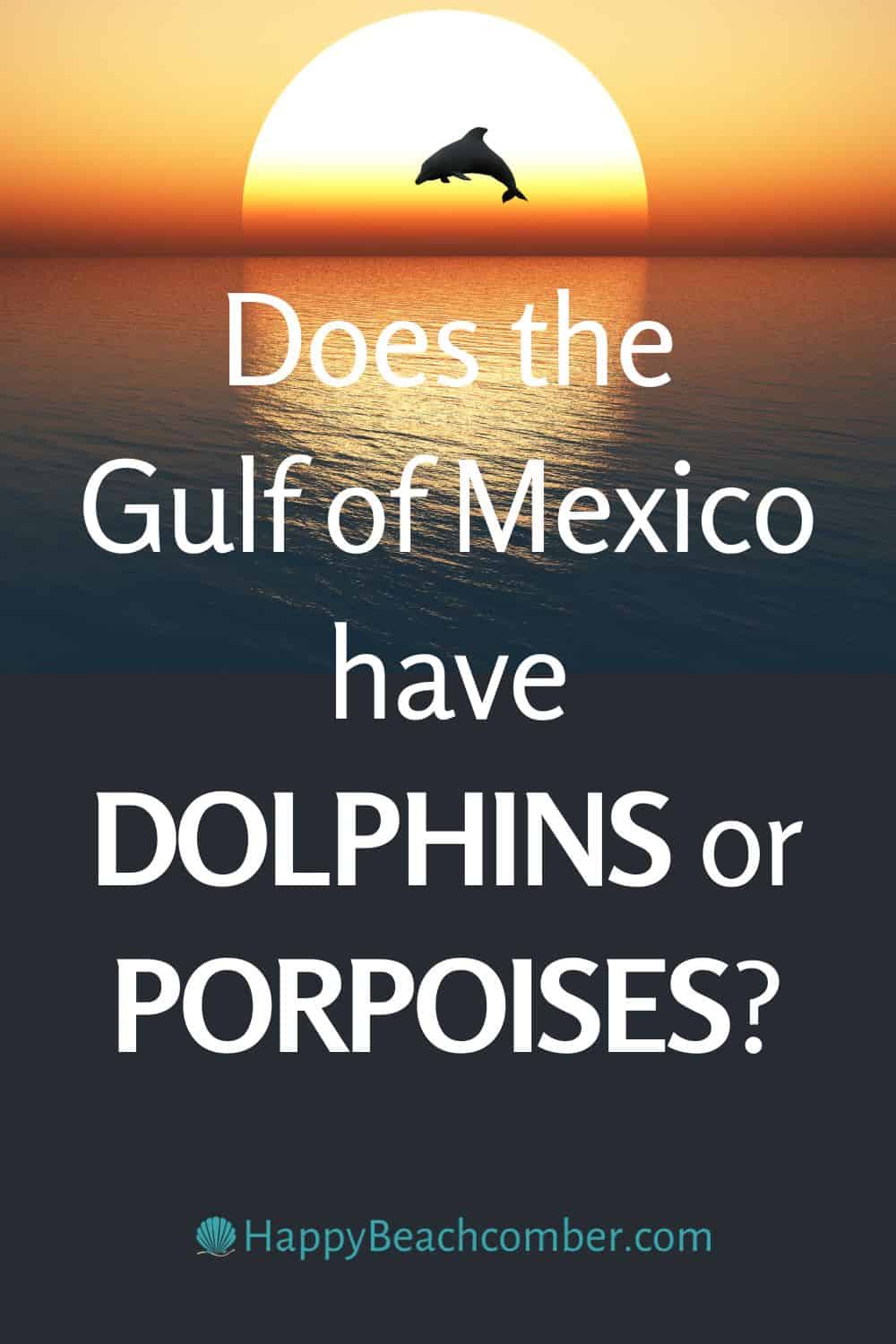 Does the Gulf of Mexico have dolphins or porpoises?