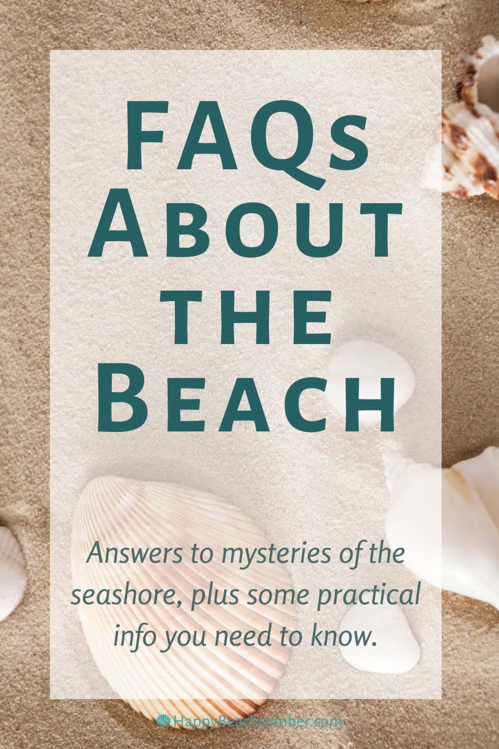 FAQs About the Beach