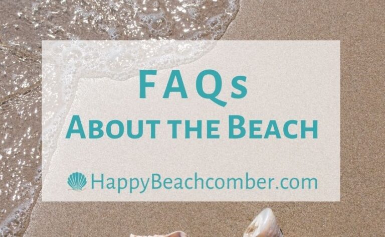 FAQs About The Beach – The Quick Answers