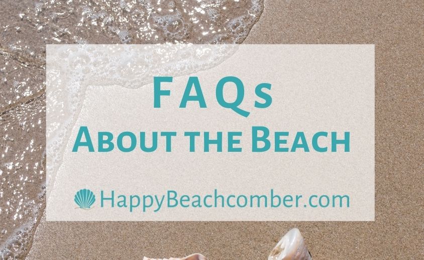 FAQs About the Beach