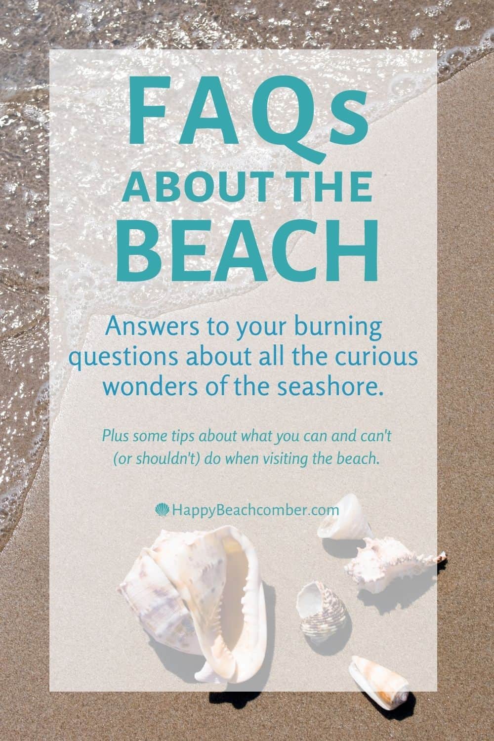 FAQs About the Beach
