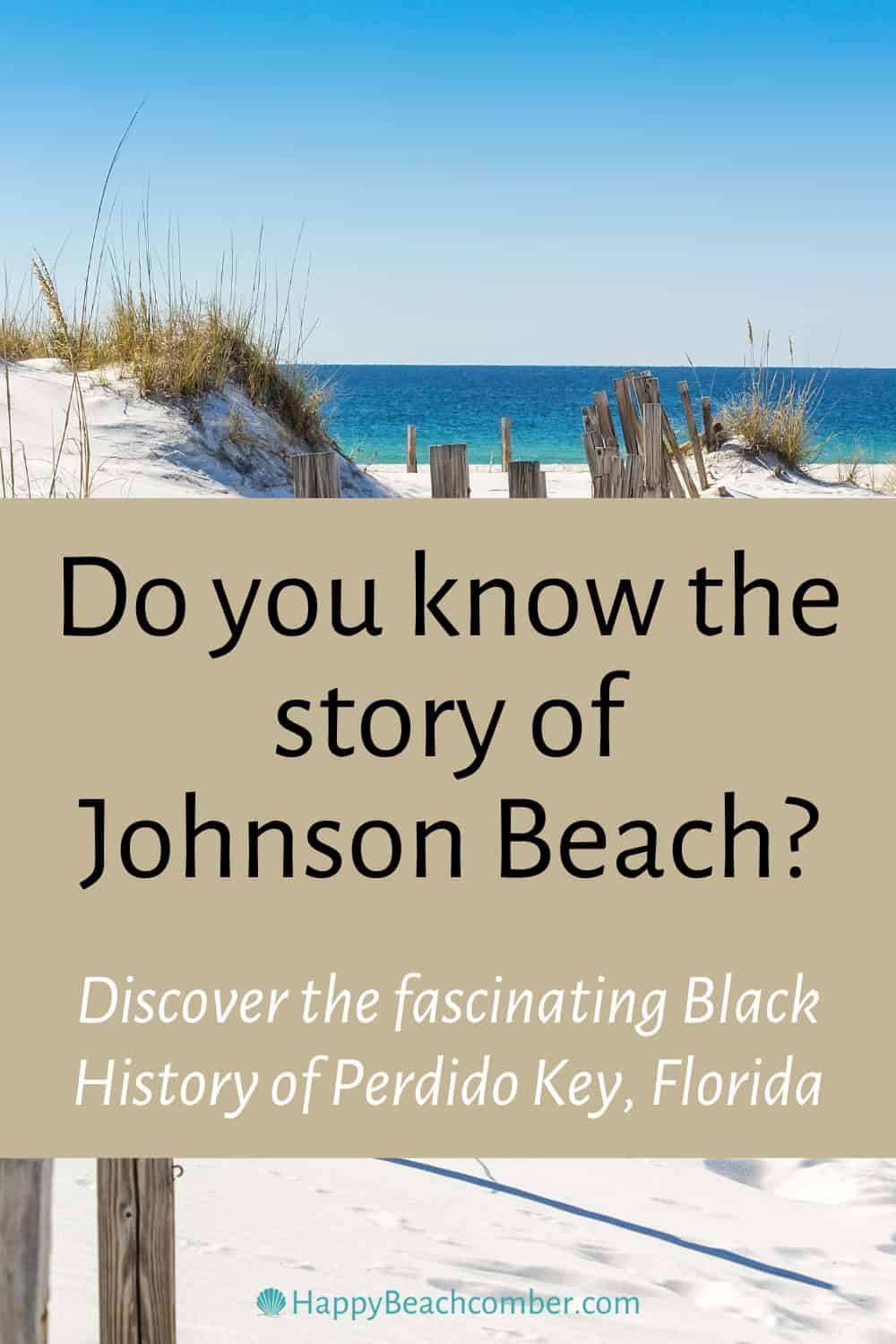 Florida Black History - Johnson Beach