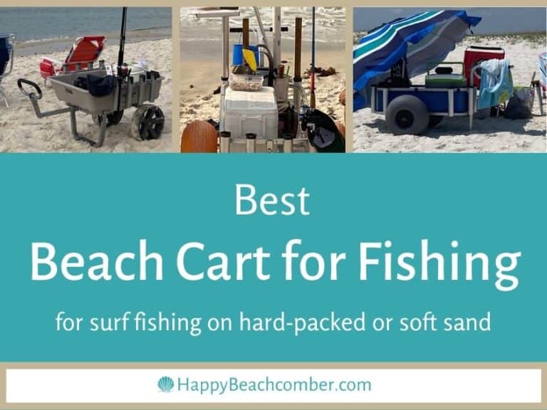 Best Fishing Cart [For Beaches with Hard-Packed or Soft Sand]