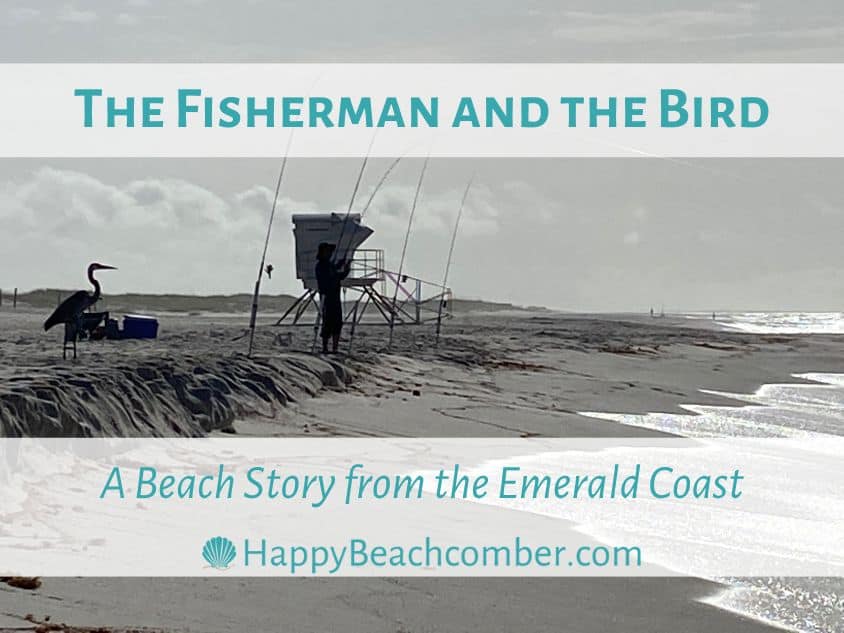 The Fisherman and the Bird - A Beach Story from the Emerald Coast