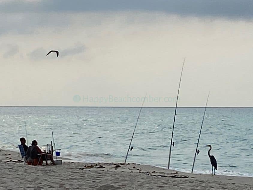 Surf Fishermen and Bird