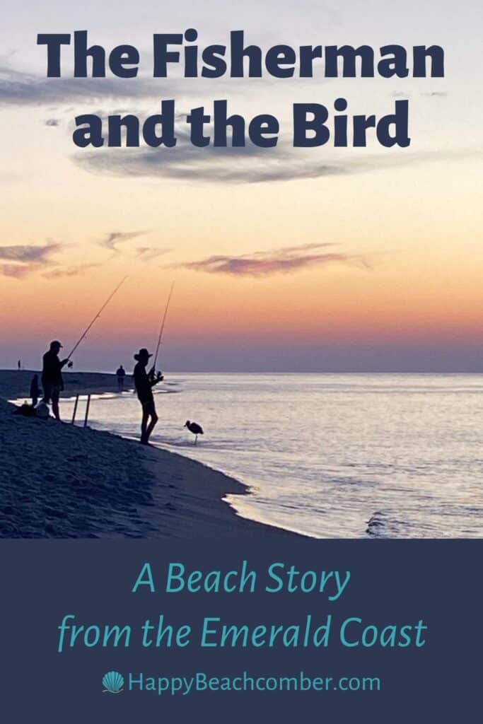 The Fisherman and the Bird - Beach Story from the Emerald Coast