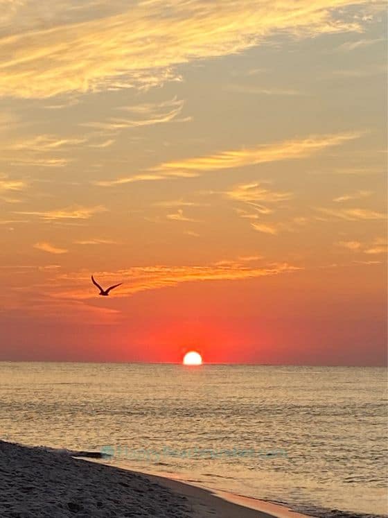 October Sunrise, Perdido Key, Florida, October 8, 2022