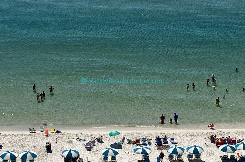 Perdido Key swimmers, Fall 2022