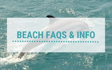 Beach FAQs & Info Category
