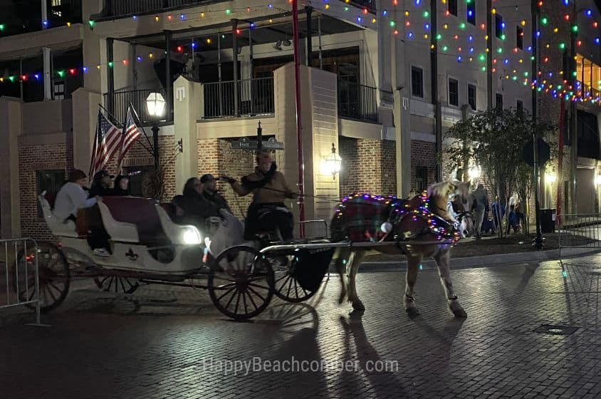 Carriage Ride