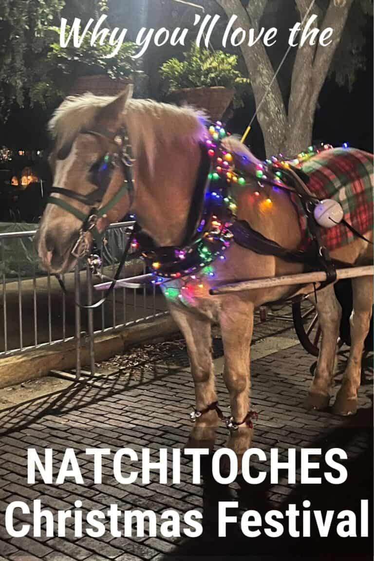 Why You'll Love the Natchitoches Christmas Festival