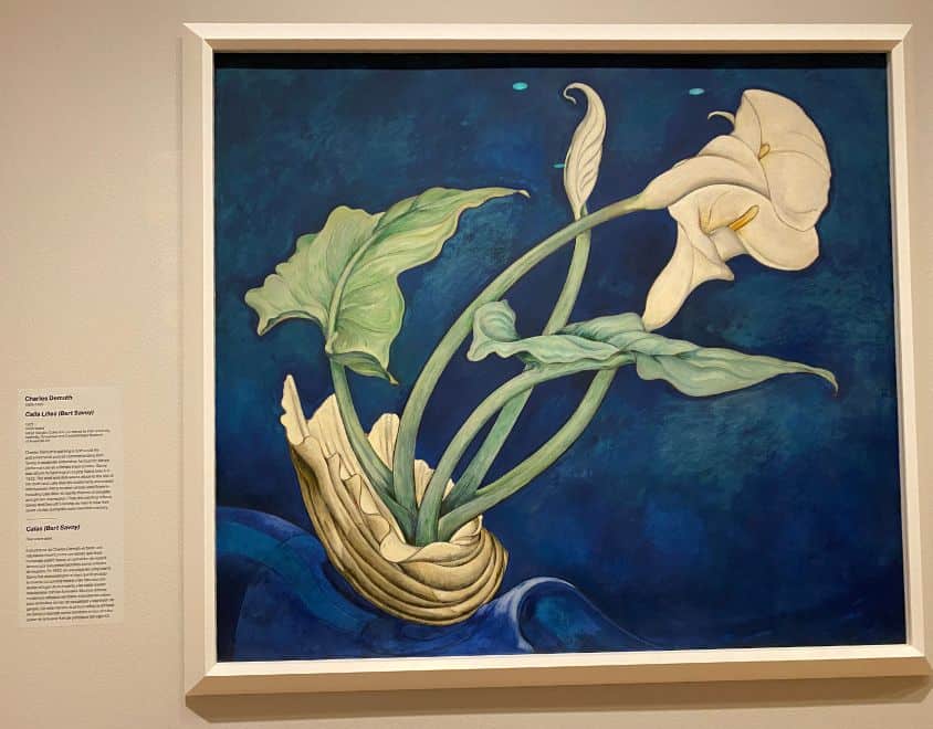 Charles Demuth - Calla Lillies