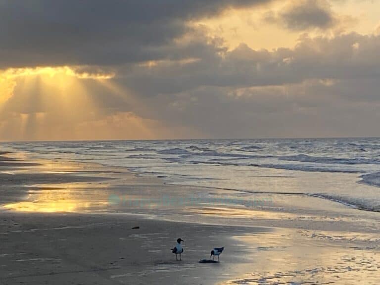 Crystal Beach Texas - A Whole Other Beach Experience